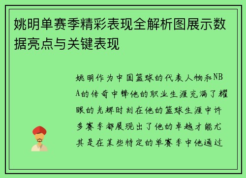 姚明单赛季精彩表现全解析图展示数据亮点与关键表现